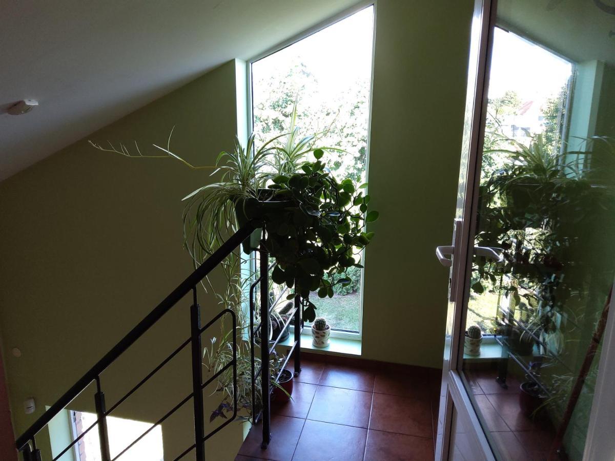 Apartamentai Geguciu Gatveje Klaipėda Buitenkant foto